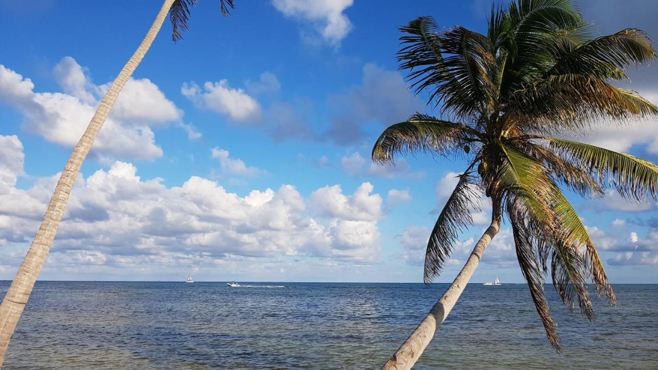 Royal Caribbean Resort San Pedro (Ambergris Caye) Exterior foto