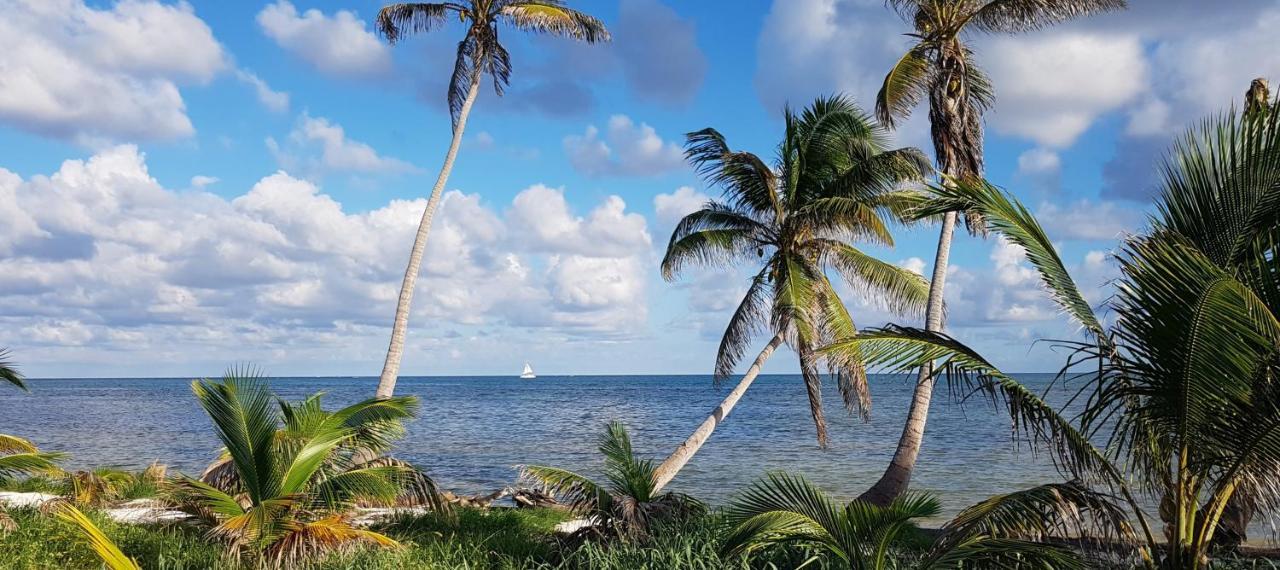 Royal Caribbean Resort San Pedro (Ambergris Caye) Exterior foto